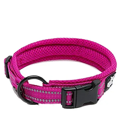 Truelove Nylon Dog Collar