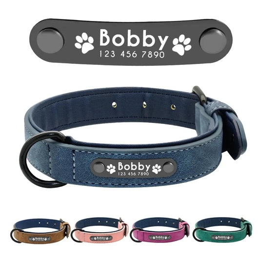 Personalized Name ID Tags Dog Collars (Small, Medium, Large, Dogs)