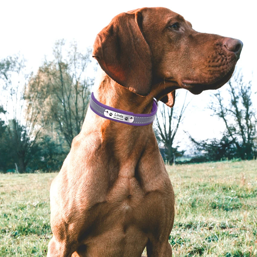Personalized Reflective Leather Collar