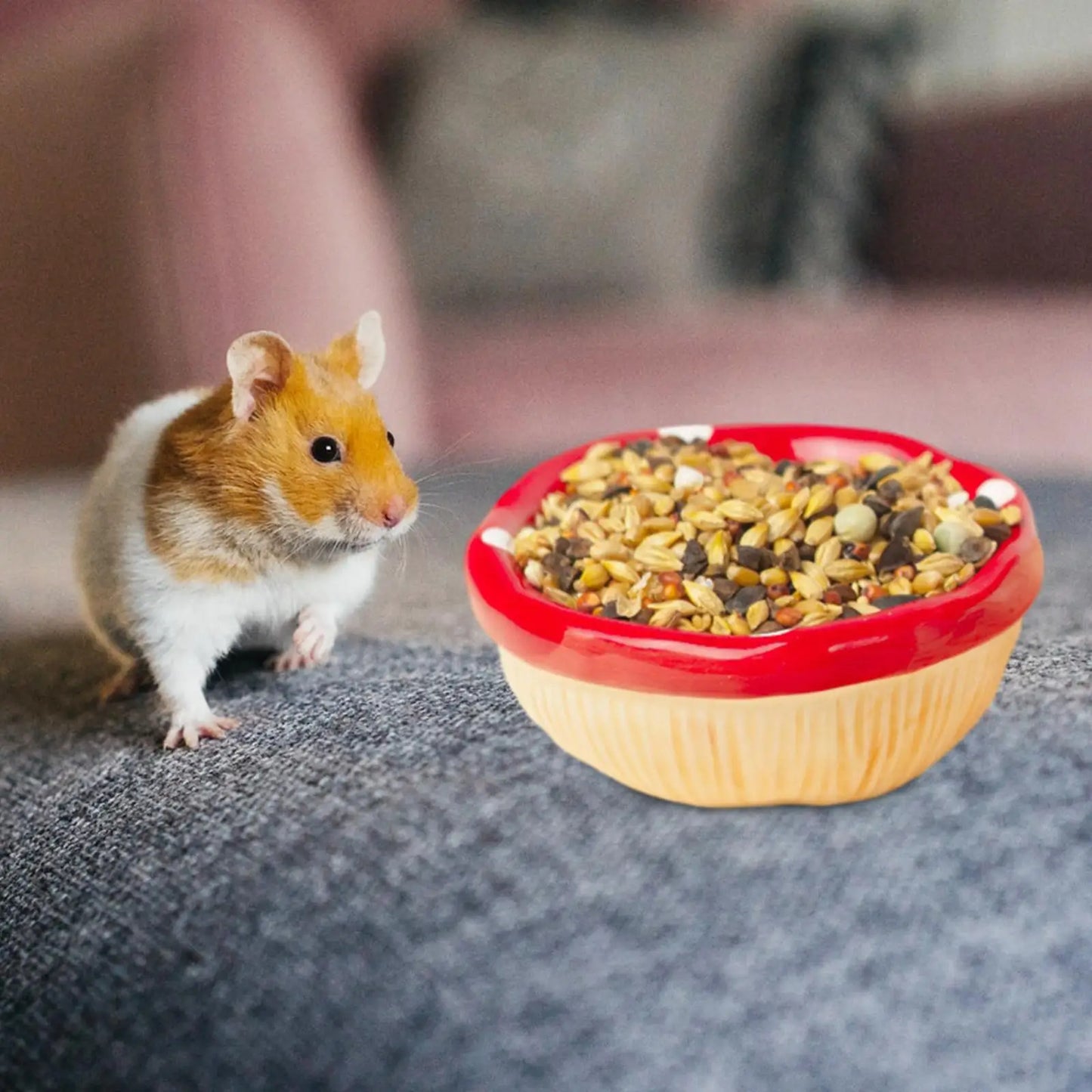 Ceramic Mushroom House for Small Animals