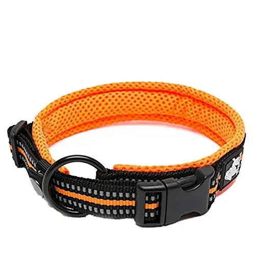 Truelove Nylon Dog Collar