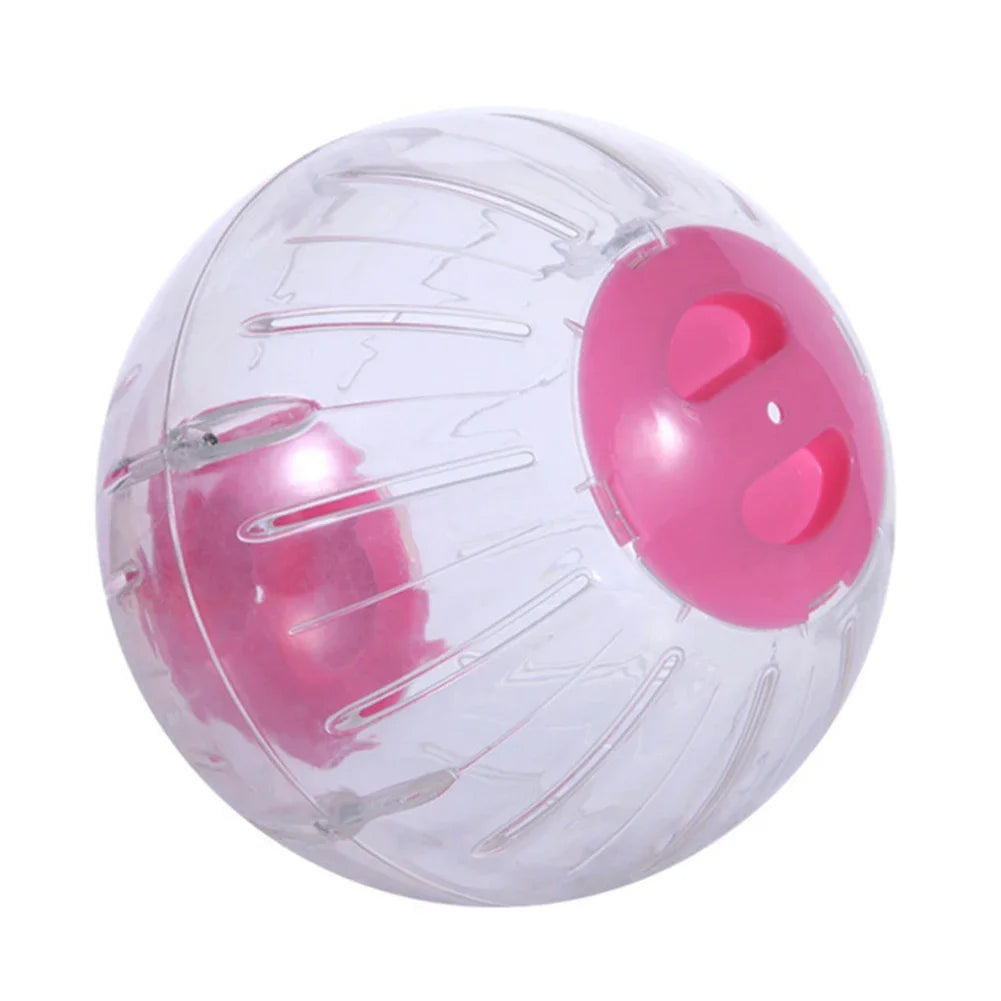 Indoor/Outdoor Small pet Sport Ball Exercise Toy 10/12cm