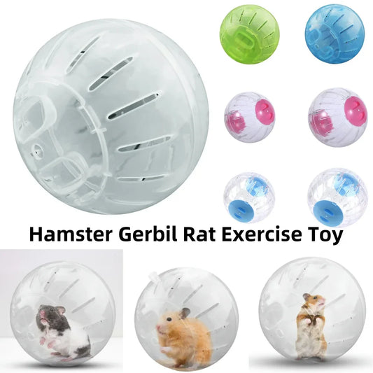 Indoor/Outdoor Small pet Sport Ball Exercise Toy 10/12cm