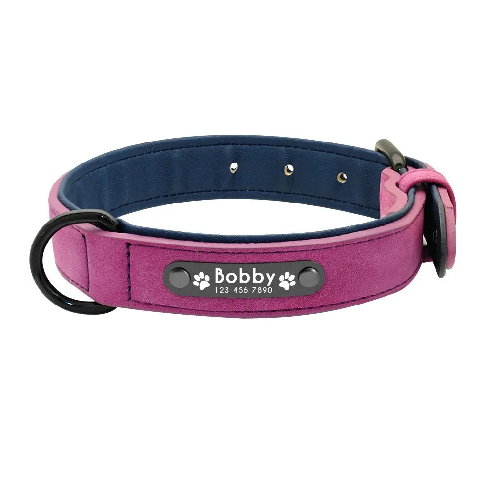 Personalized Name ID Tags Dog Collars (Small, Medium, Large, Dogs)