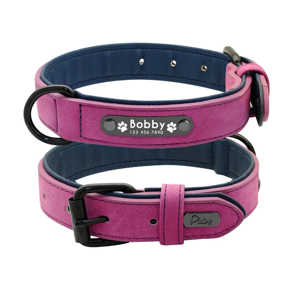Personalized Name ID Tags Dog Collars (Small, Medium, Large, Dogs)