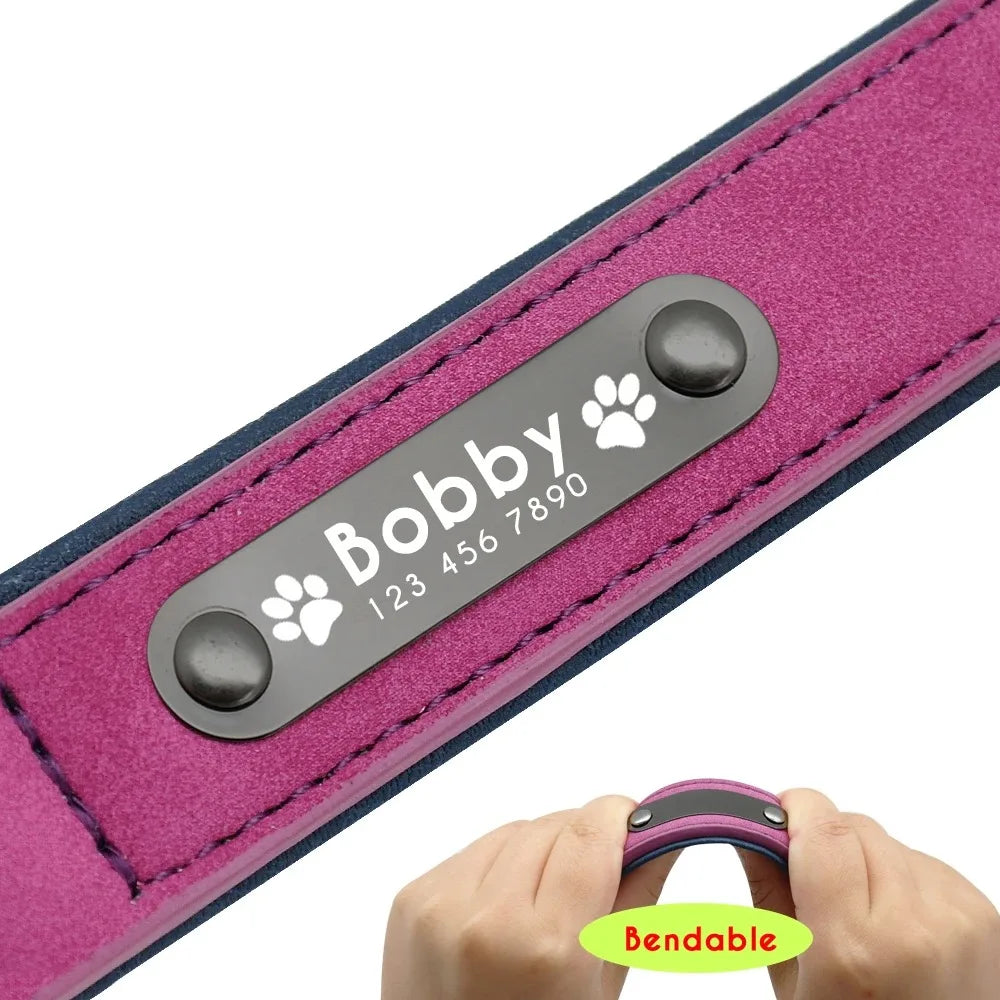 Personalized Name ID Tags Dog Collars (Small, Medium, Large, Dogs)