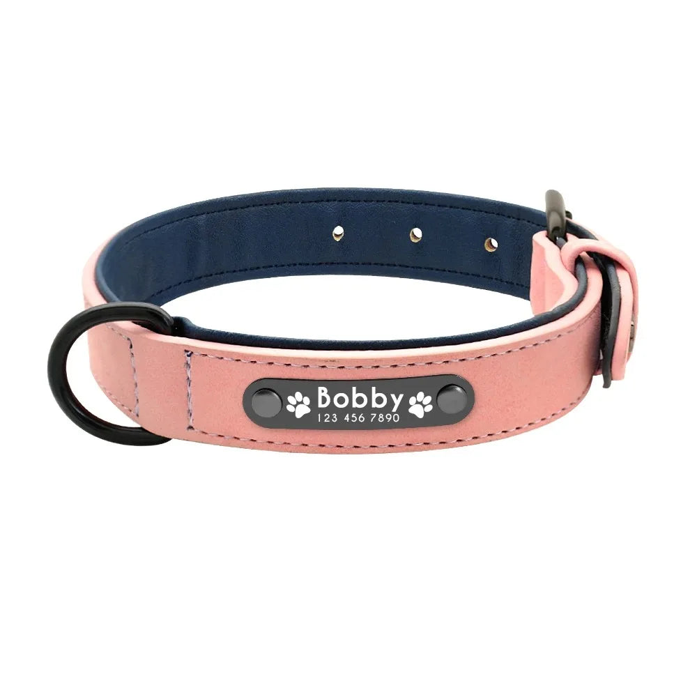 Personalized Name ID Tags Dog Collars (Small, Medium, Large, Dogs)
