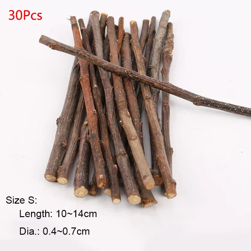 Professional Hamster Rabbit Teeth Grinding Apple Tree Stick