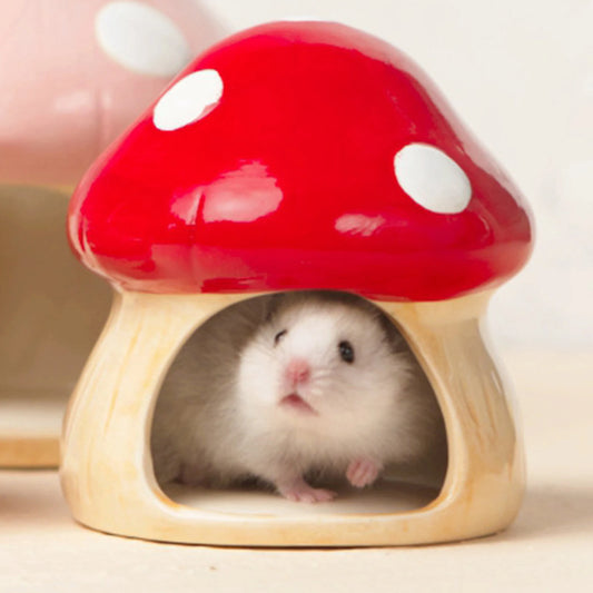 Ceramic Mushroom House for Small Animals