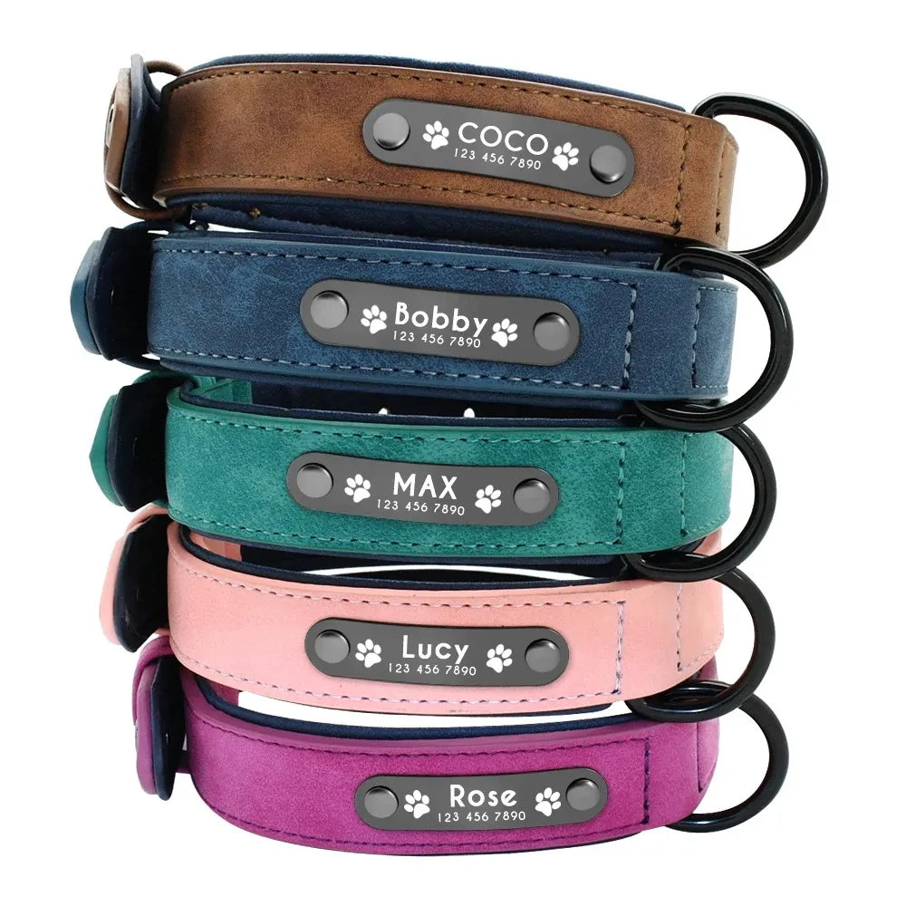 Personalized Name ID Tags Dog Collars (Small, Medium, Large, Dogs)