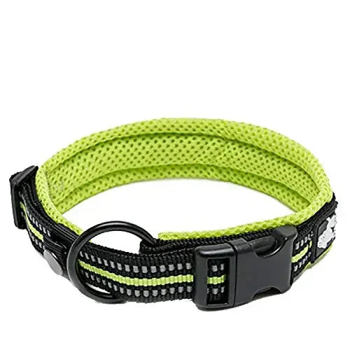 Truelove Nylon Dog Collar