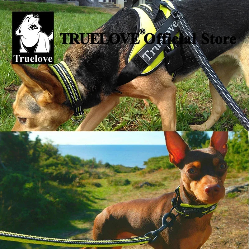 Truelove Nylon Dog Collar