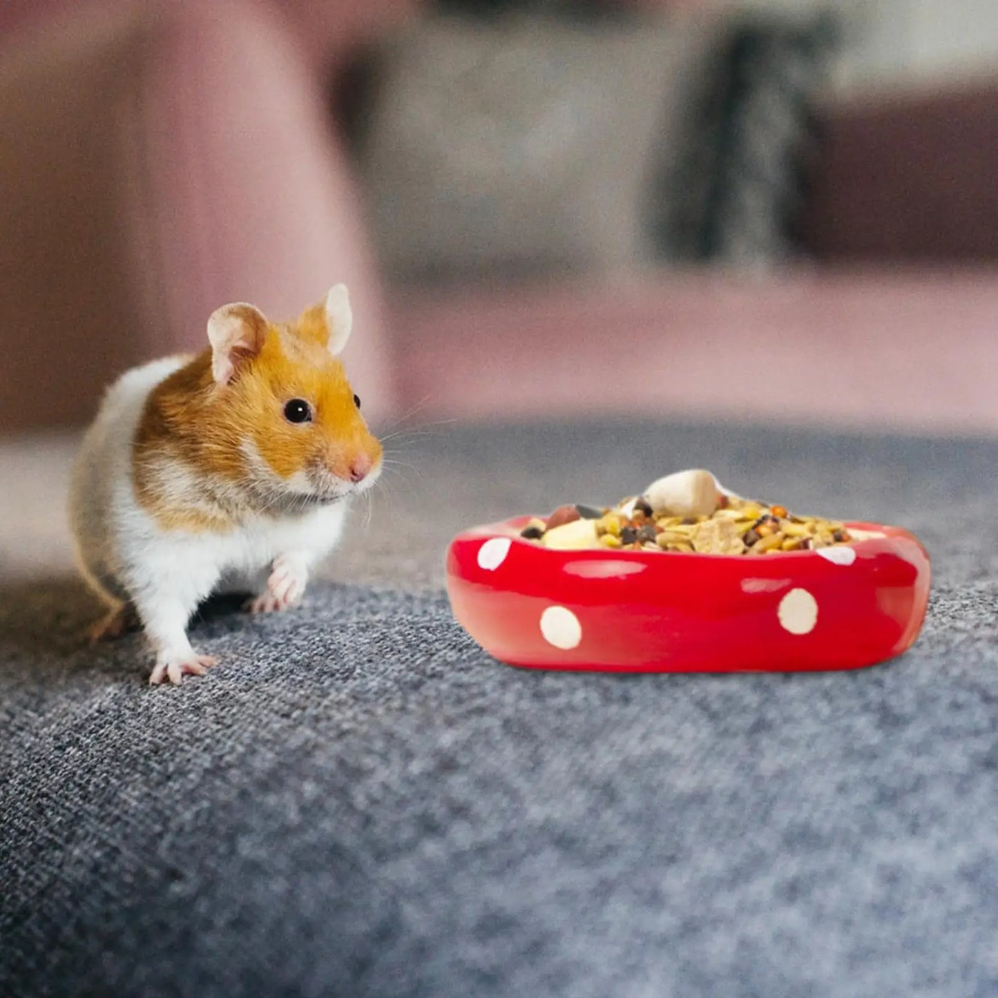 Ceramic Mushroom House for Small Animals