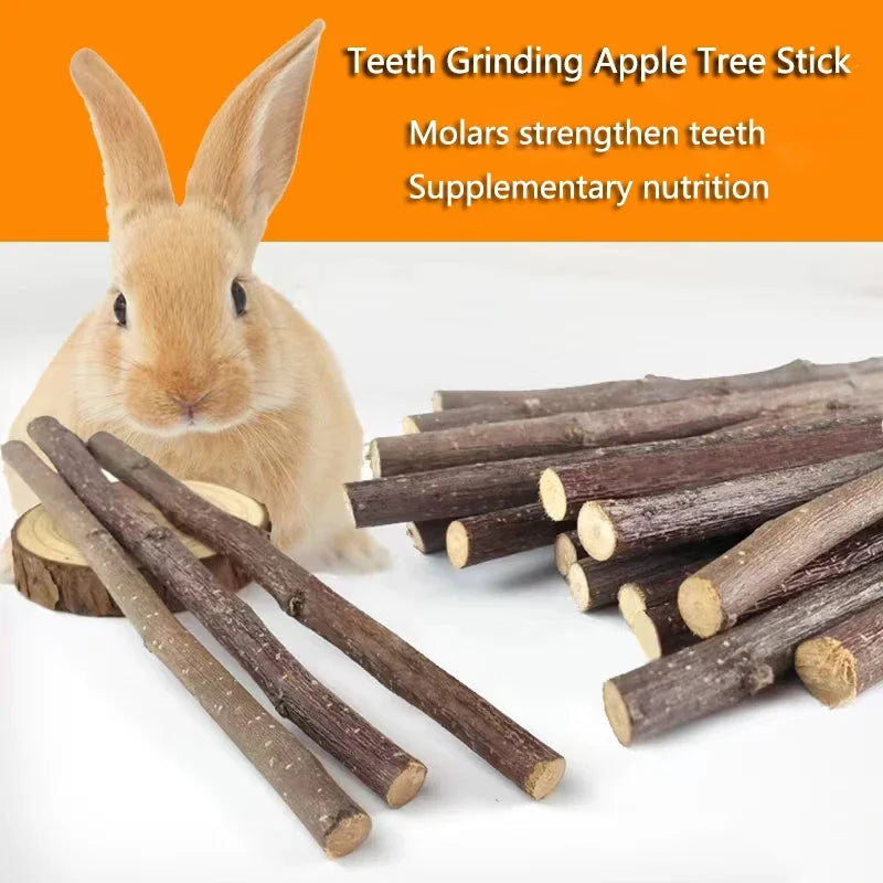 Professional Hamster Rabbit Teeth Grinding Apple Tree Stick