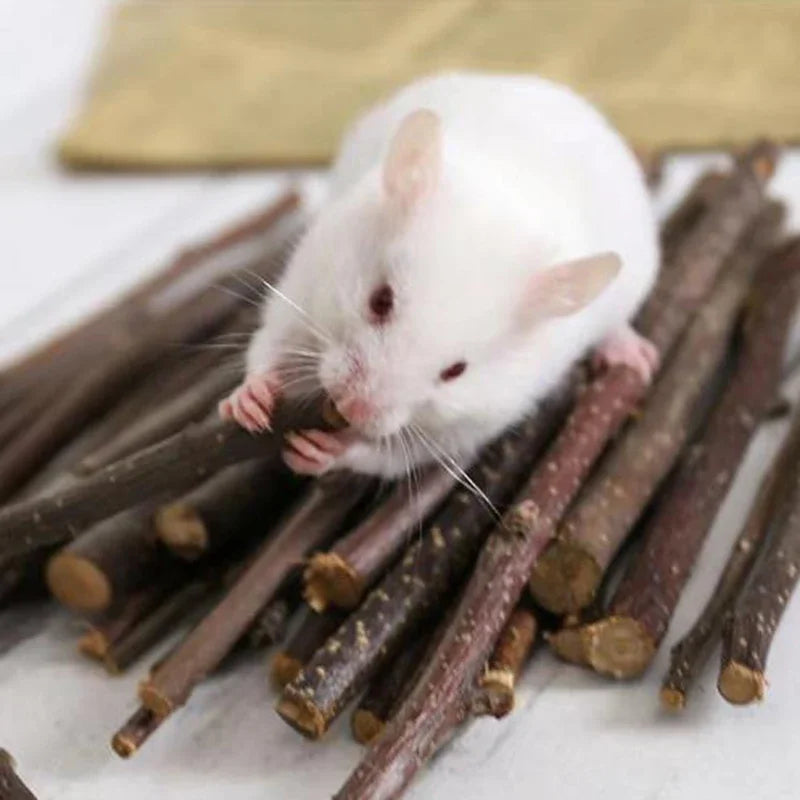 Professional Hamster Rabbit Teeth Grinding Apple Tree Stick