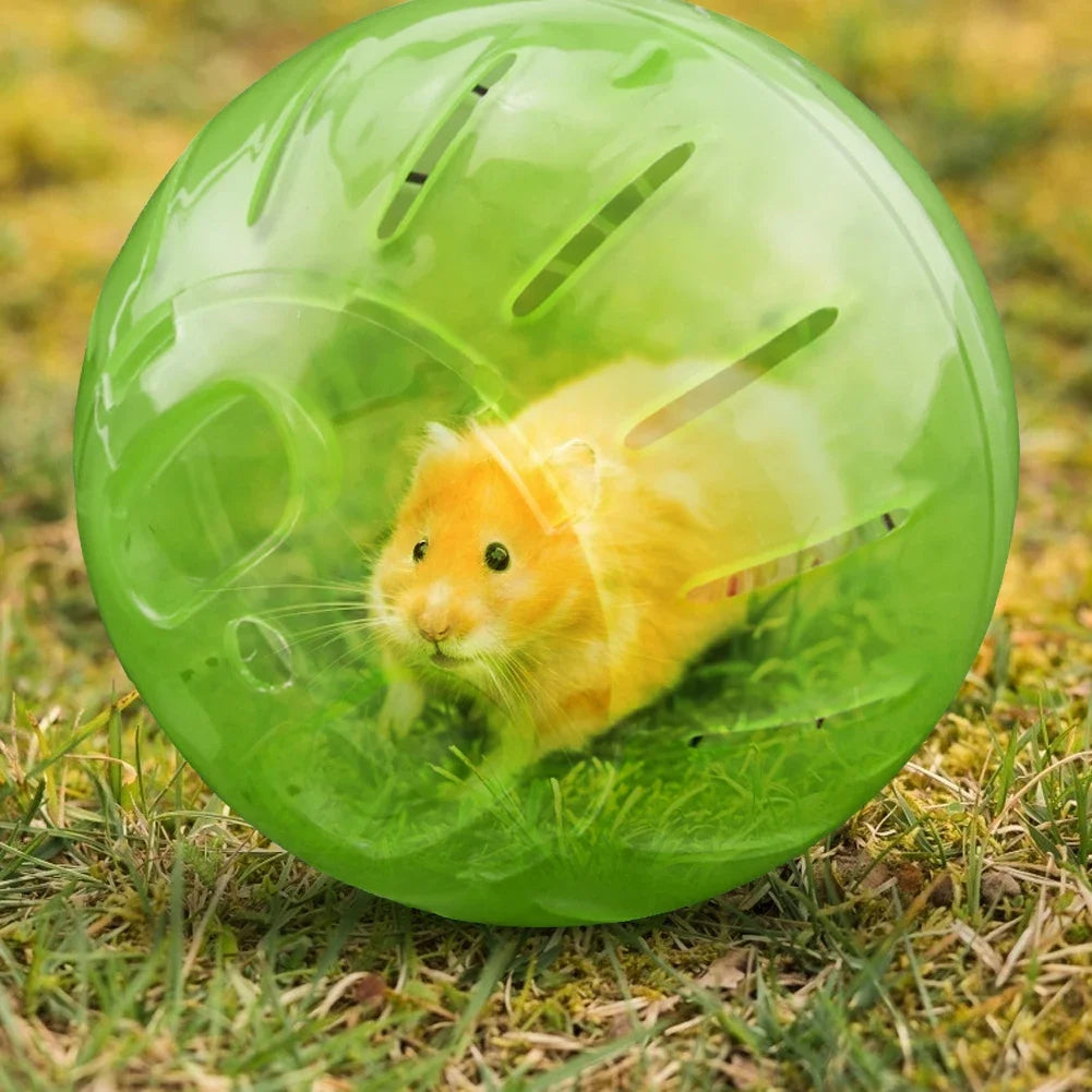 Indoor/Outdoor Small pet Sport Ball Exercise Toy 10/12cm