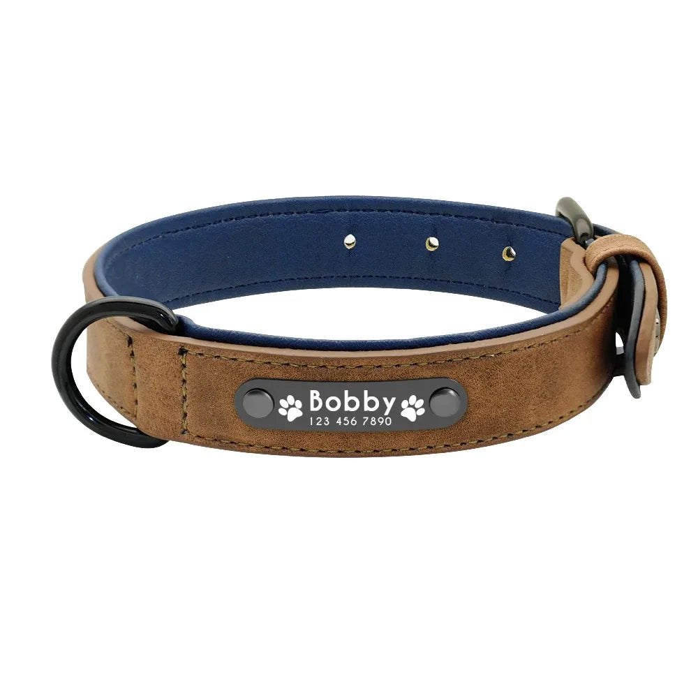 Personalized Name ID Tags Dog Collars (Small, Medium, Large, Dogs)