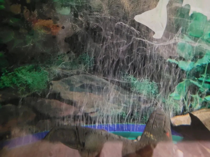 Aquarium Oxygen Pump Bubble Bar