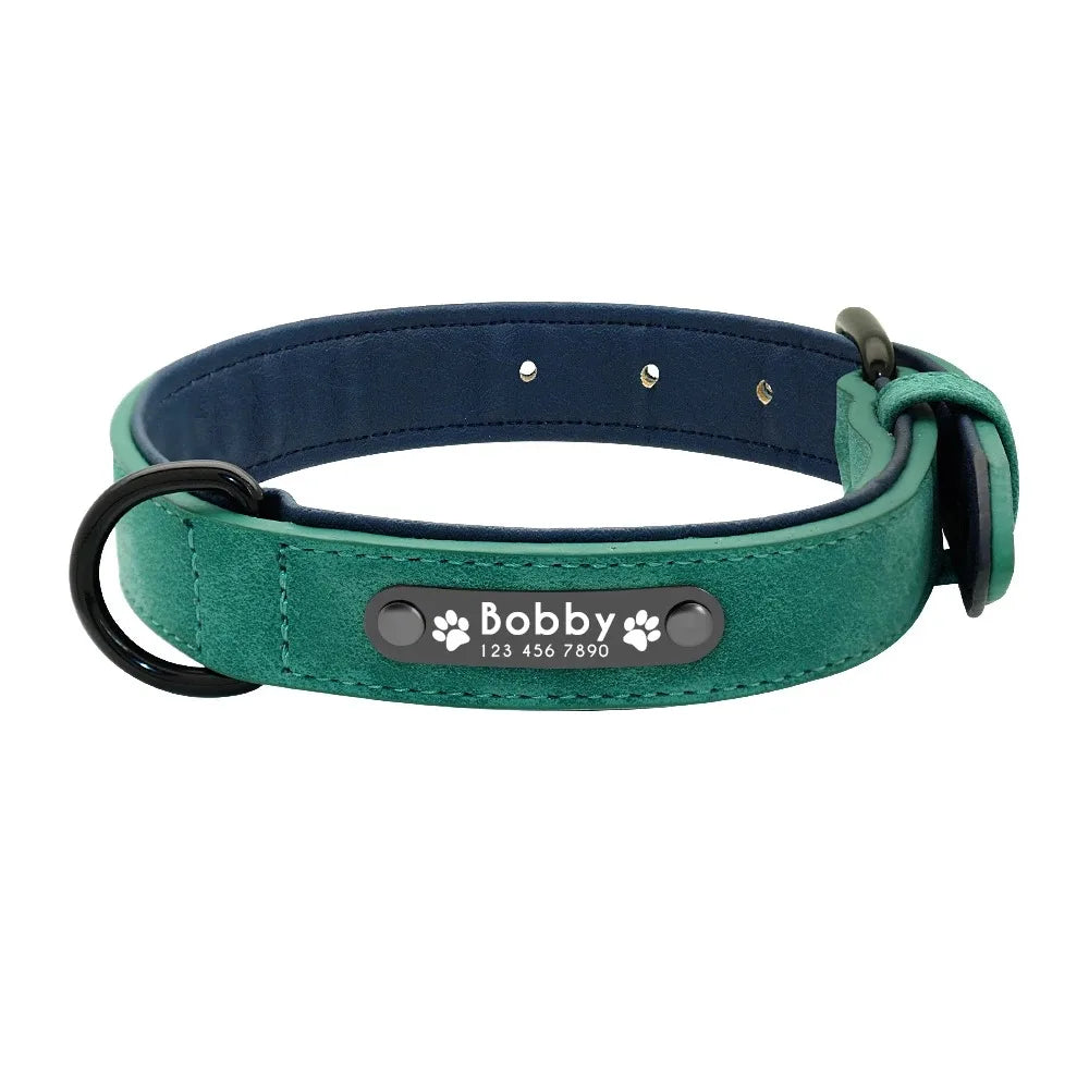 Personalized Name ID Tags Dog Collars (Small, Medium, Large, Dogs)
