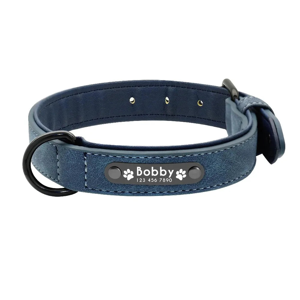 Personalized Name ID Tags Dog Collars (Small, Medium, Large, Dogs)